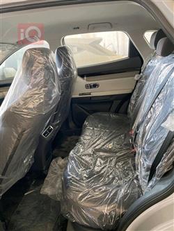 جیتۆر داشينگ